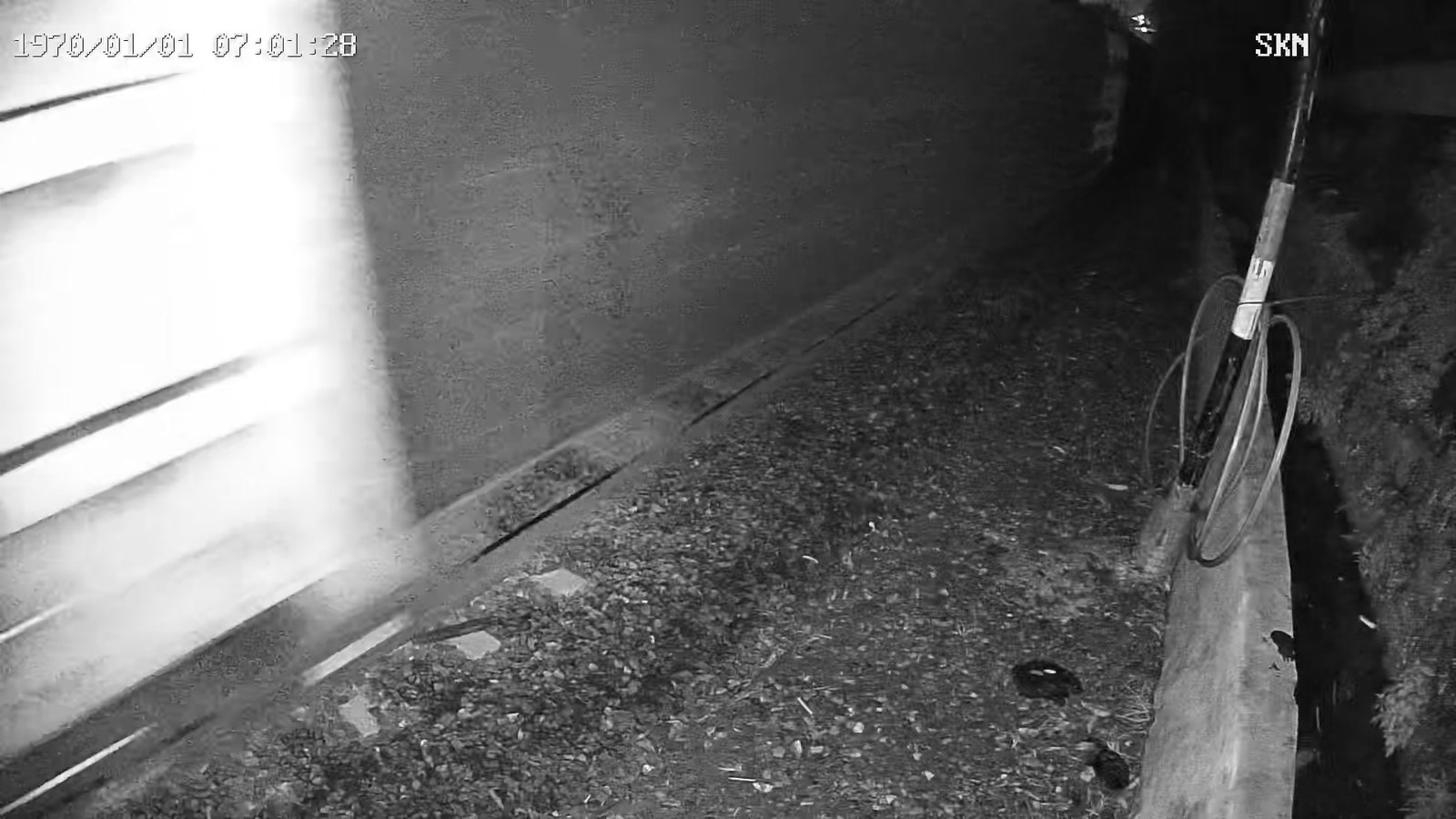 2026-03-10 04:50:57.jpg